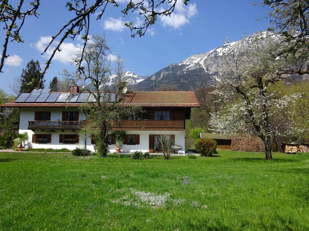 Ferienwohnungen Auhaus 巴特莱辛哈尔 外观 照片